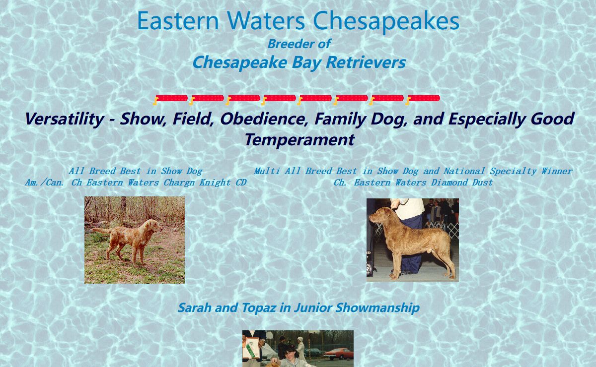 Eastern Waters Chesapeake Bay Retrievers