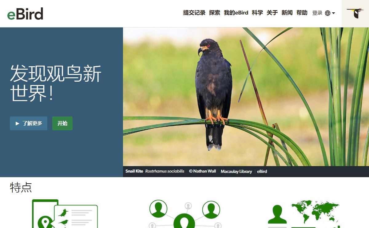 eBird - 发现观鸟新世界！