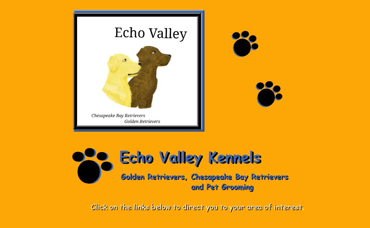 Echo Valley Kennels chesapeake bay retrievers, golden retrievers and pet grooming