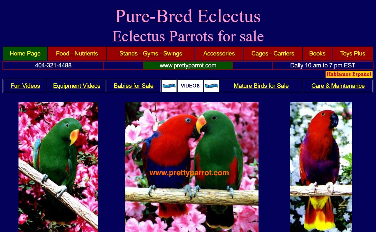 www.eclectusparrot.com