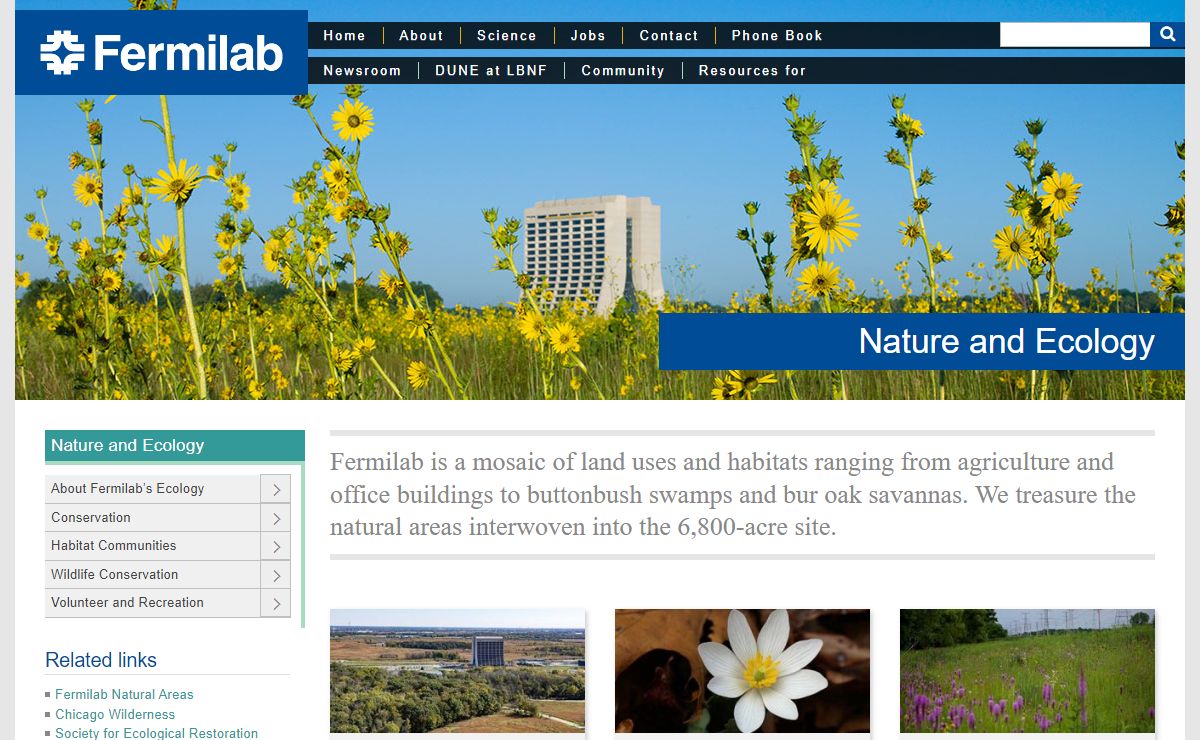 Nature and Ecology
