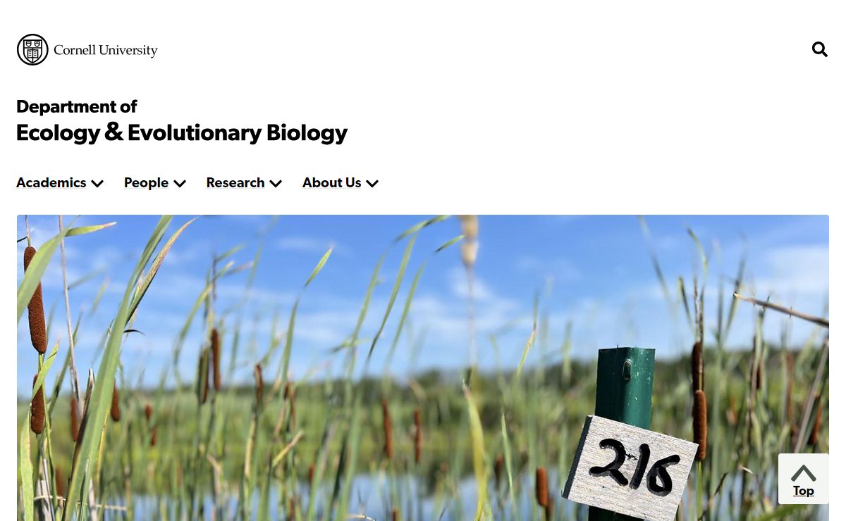 Department of Ecology and Evolutionary Biology | Department of Ecology and Evolutionary Biology