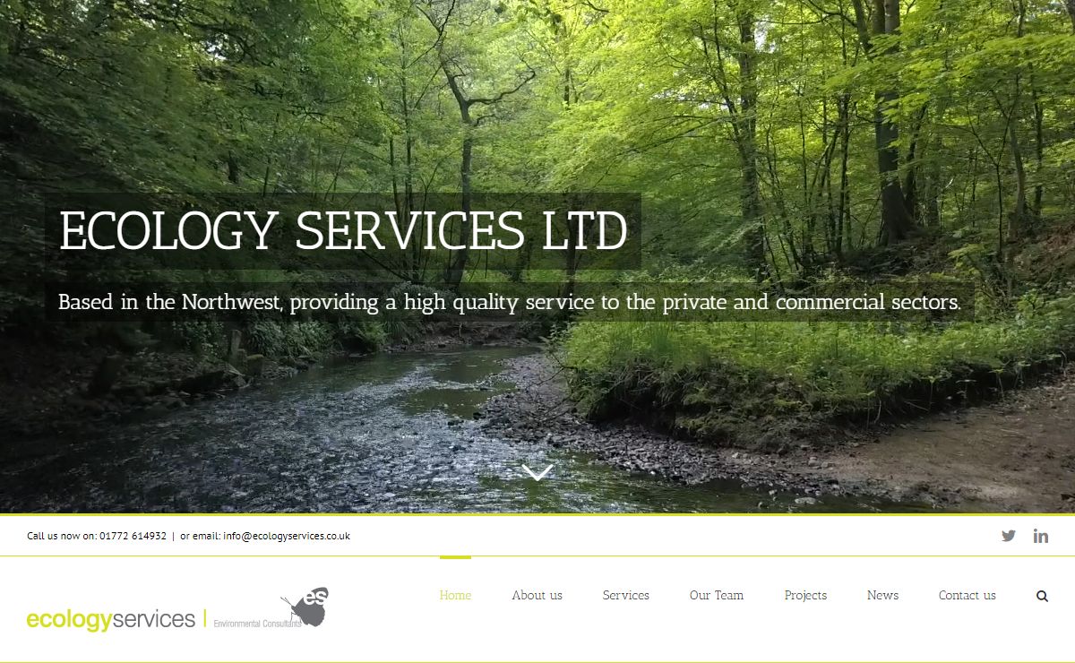 Ecology Services Ltd - Delivering professional ecological surveys