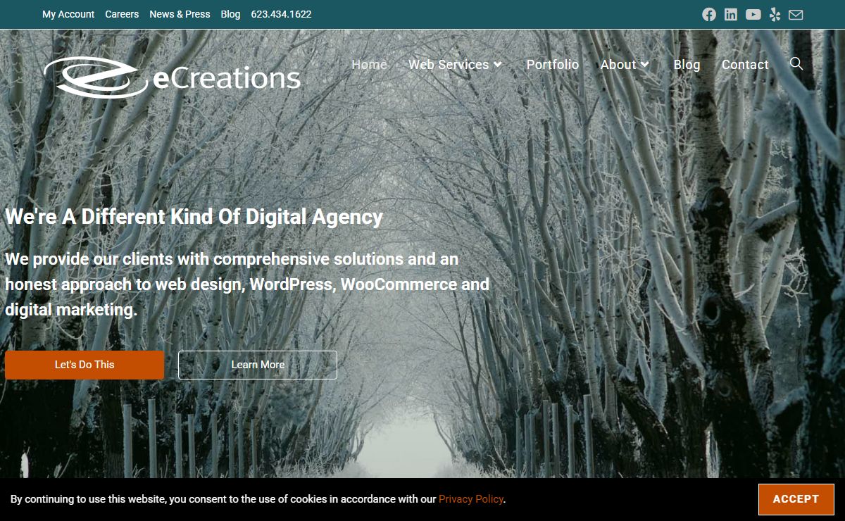 Phoenix Digital Agency | WordPress Experts - eCreations