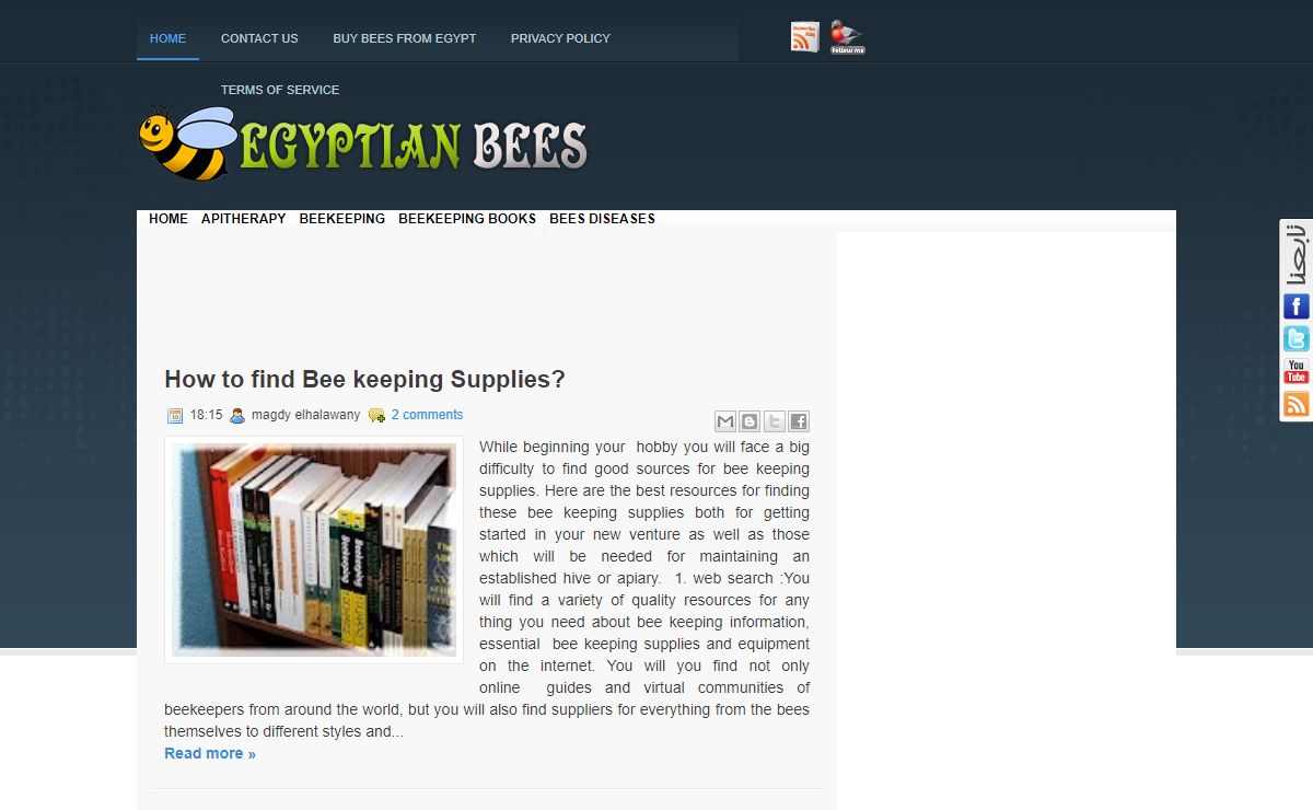 Egyptian Bees|beekeeping guide for beginners