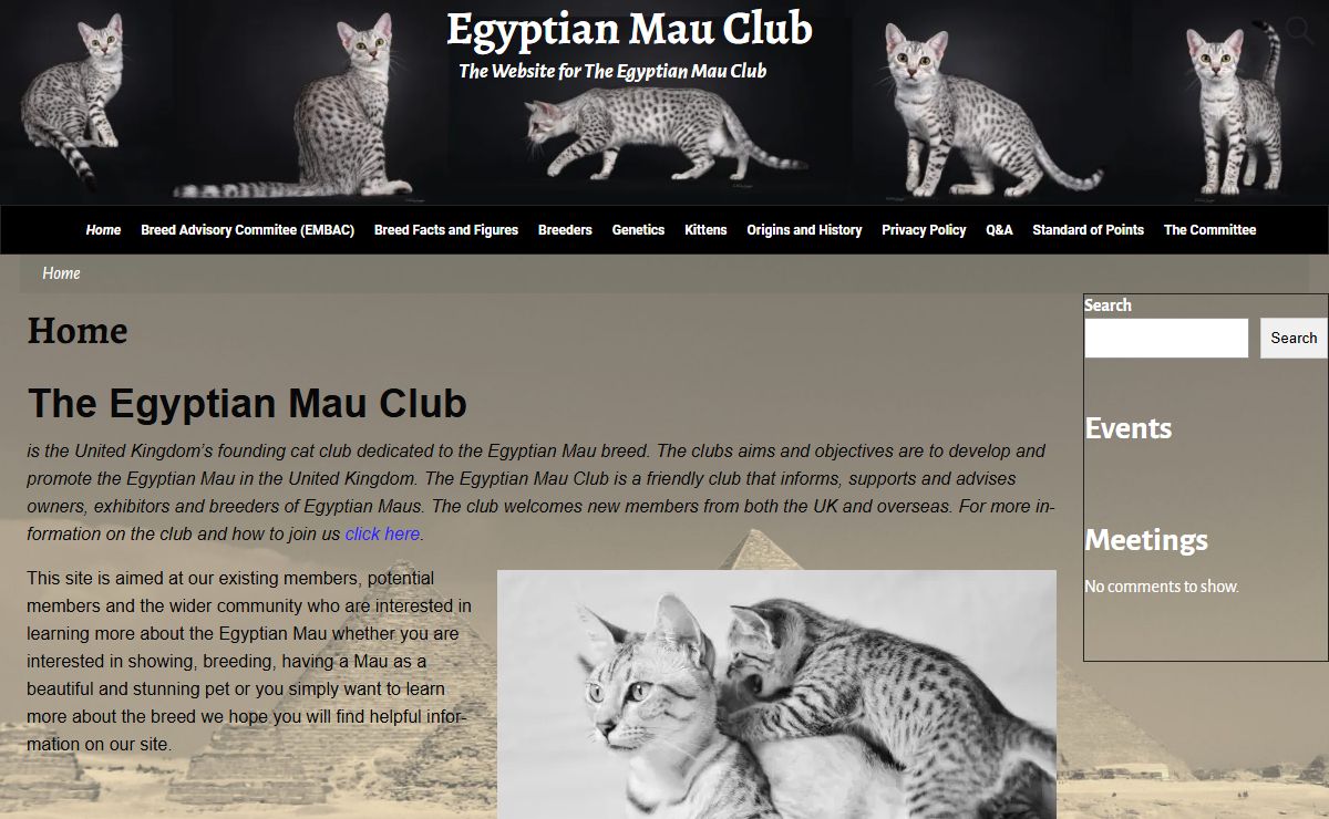 Egyptian Mau Club – The Website for The Egyptian Mau Club