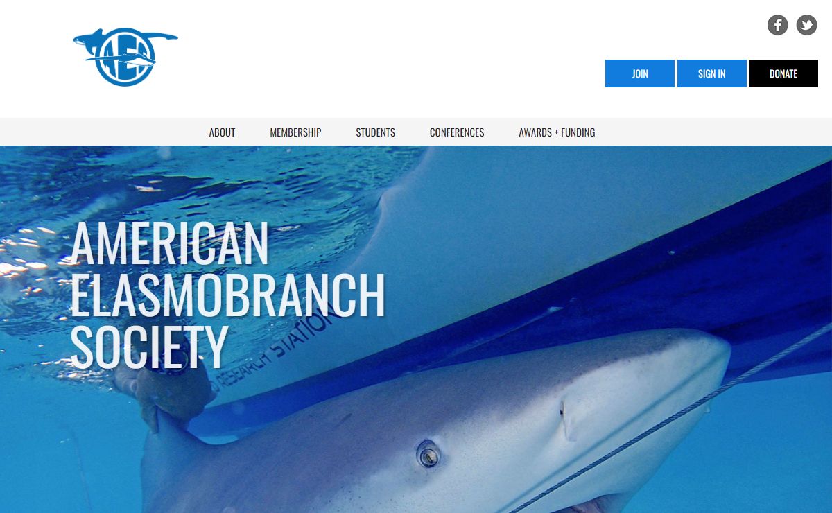AES | American Elasmobranch Society