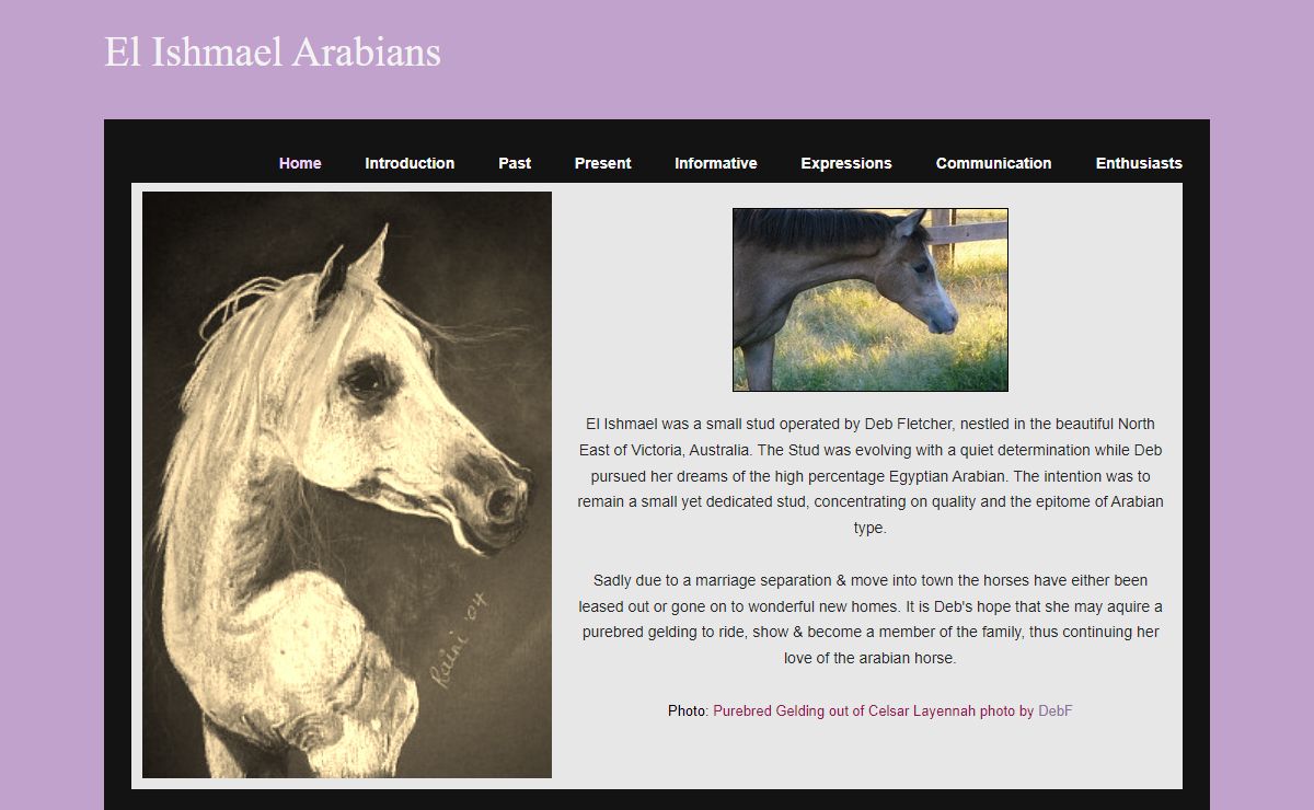 El Ishmael Arabians  - Home