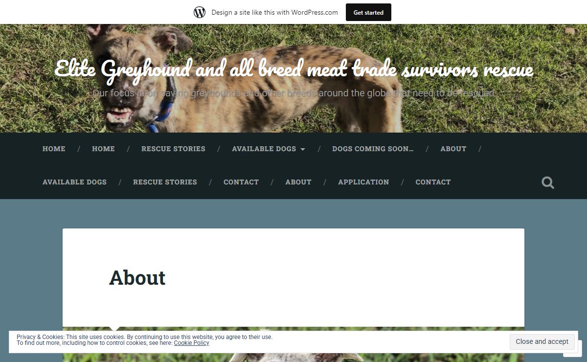Elite Greyhound and all breed meat trade survivors rescue – Our focus in on saving greyhounds and other breeds around the globe that need to be rescued