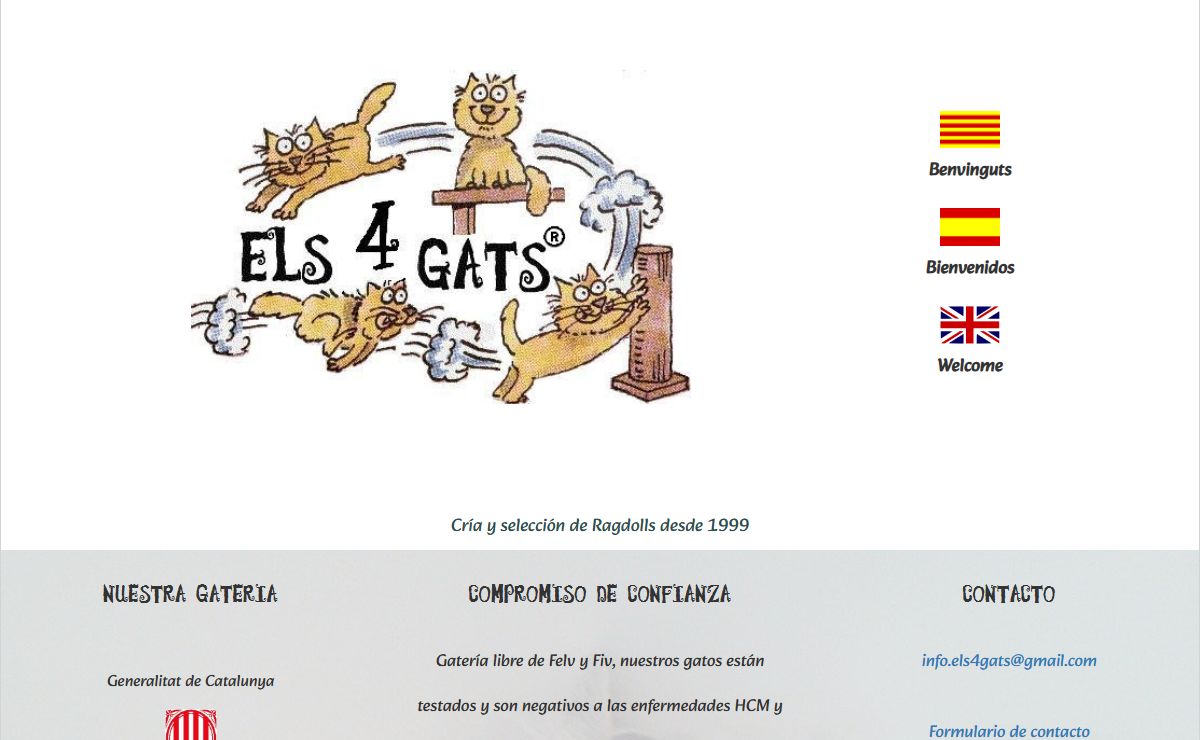 Els 4 Gats - Criador de Ragdolls Barcelona
