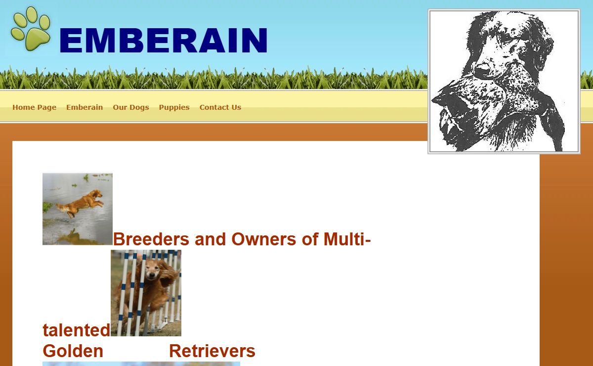Emberain Golden Retrievers - Emberain Golden Retrievers