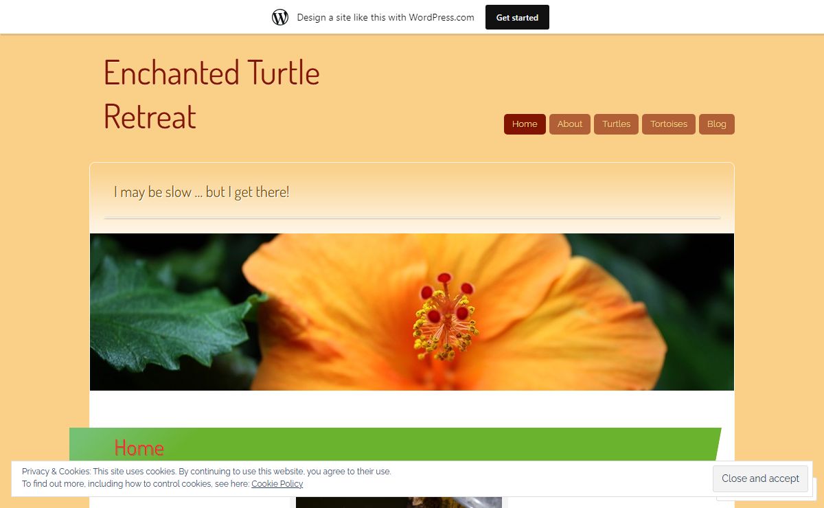 Enchanted Turtle Retreat | I may be slow … but I get there!