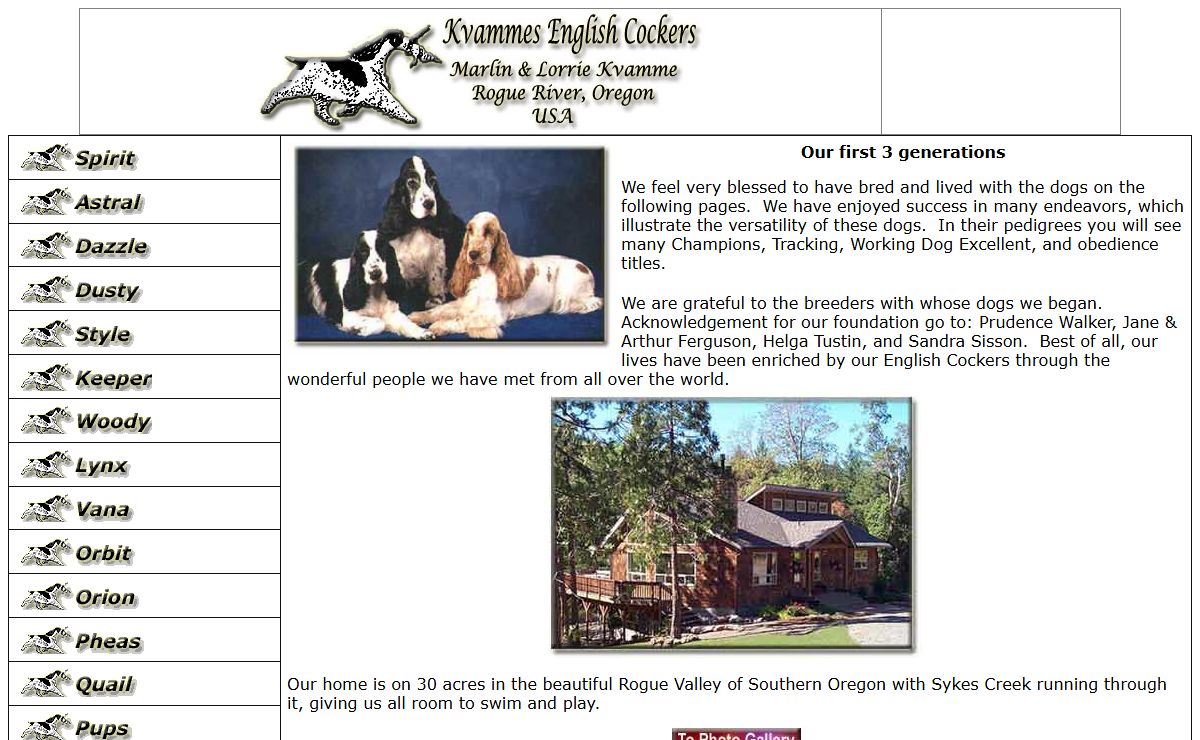 Kvammes English Cocker Spaniel
