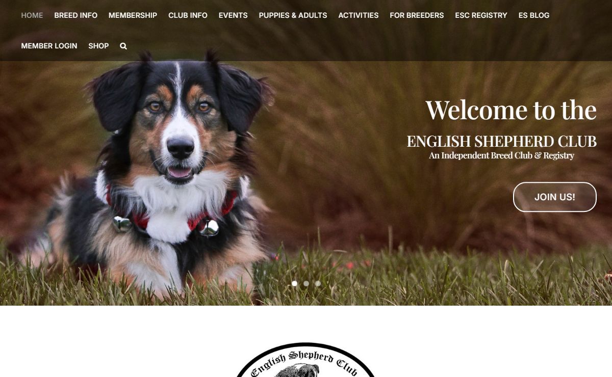 HOME - English Shepherd Club
