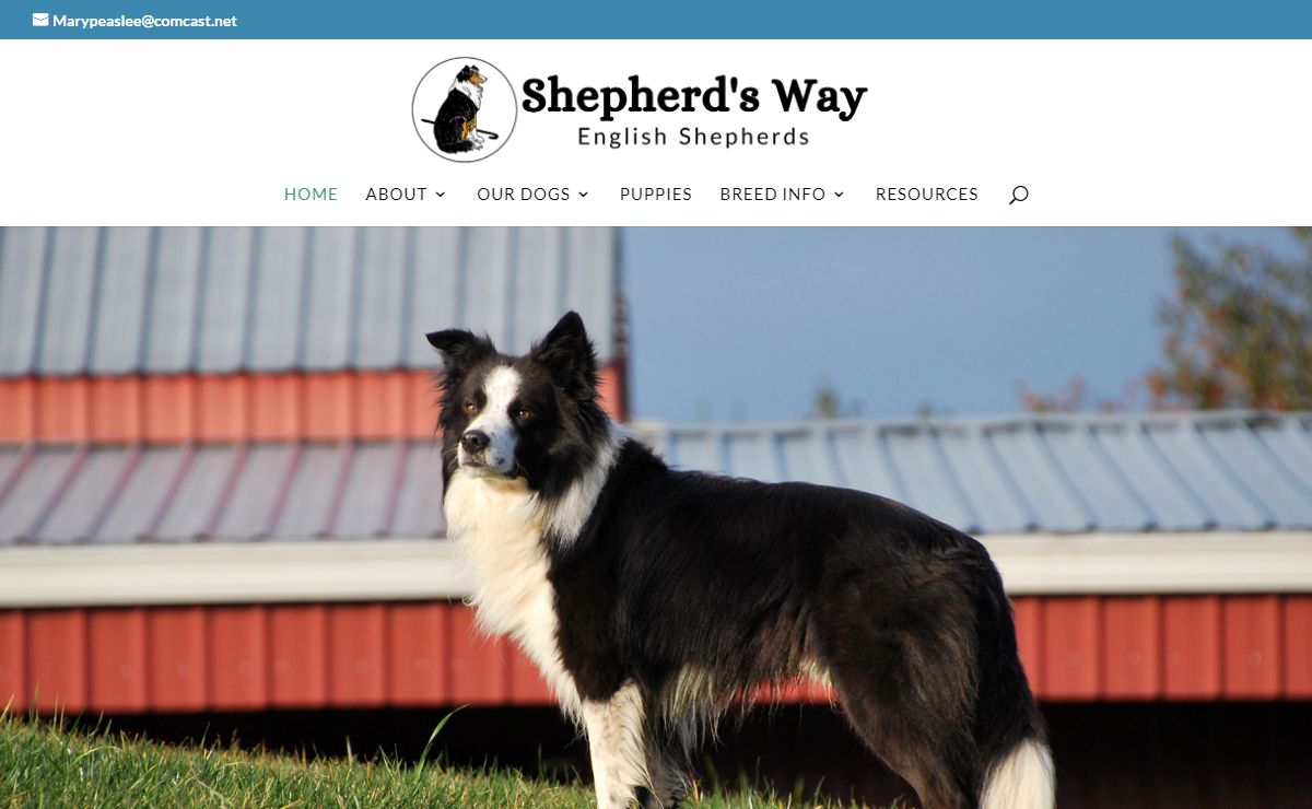 Home - Shepherd's Way English Shepherds