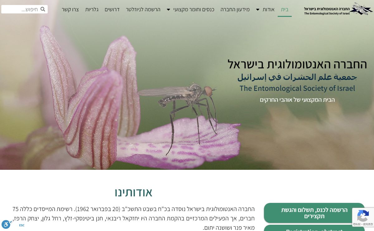 החברה האנטומולוגית בישראל | לאנשי מקצוע ומתעניינים באנטומולוגיה