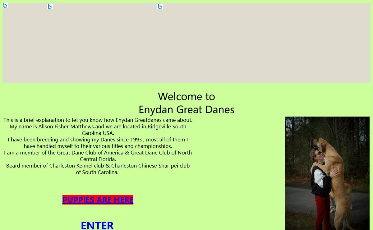 Enydan Great danes