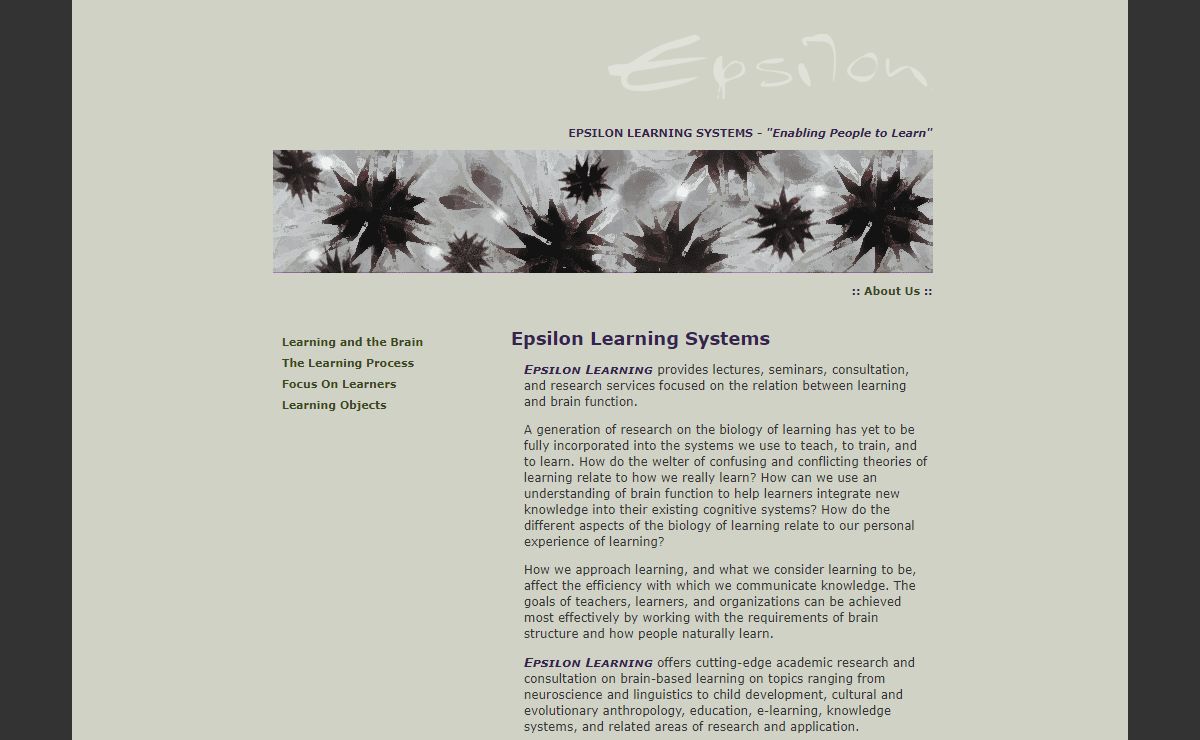 Epsilon Learning Systems: Home
