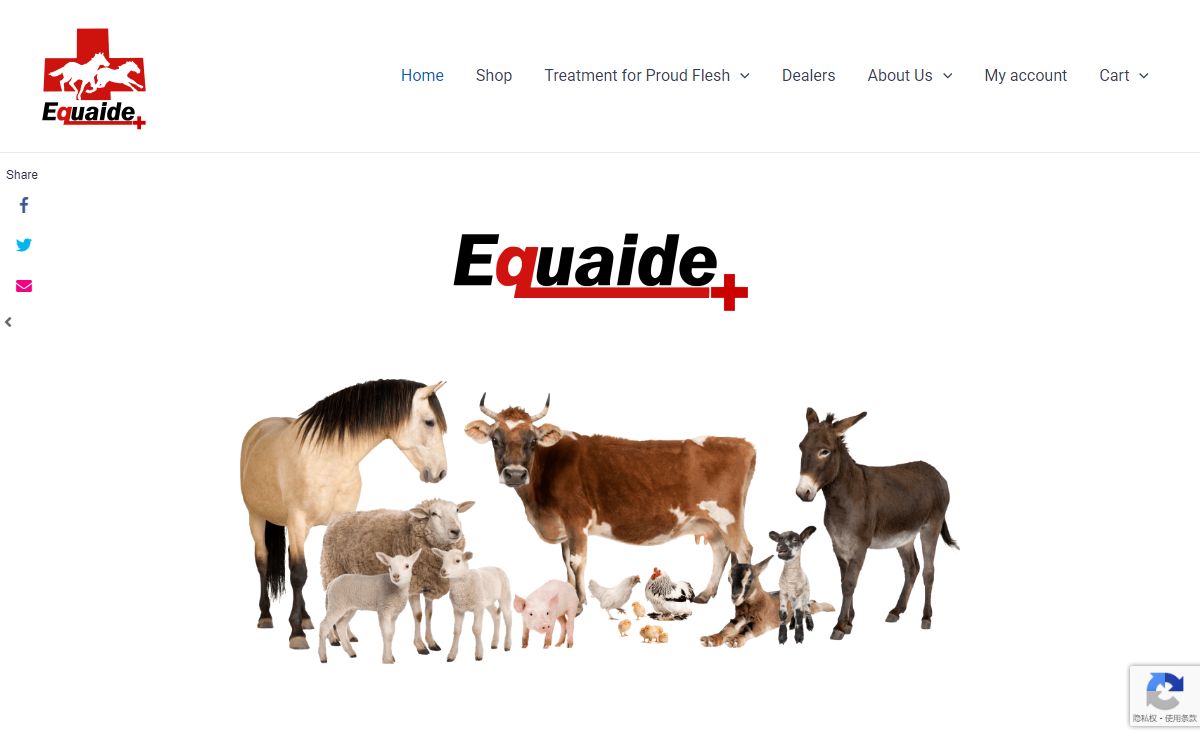 Equaide – #1 Vets Choice