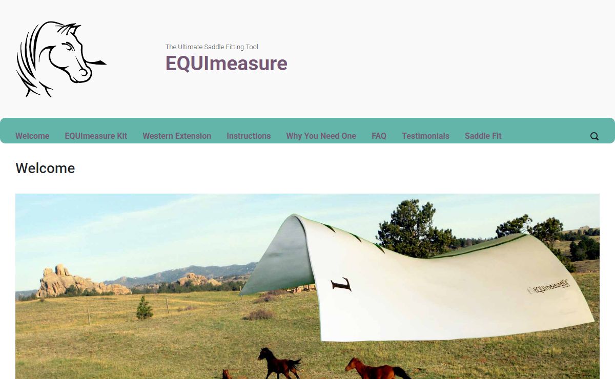 Saddle Fit Meets The 21st Century ~ Saddle Fit Aid ~ EQUImeasure