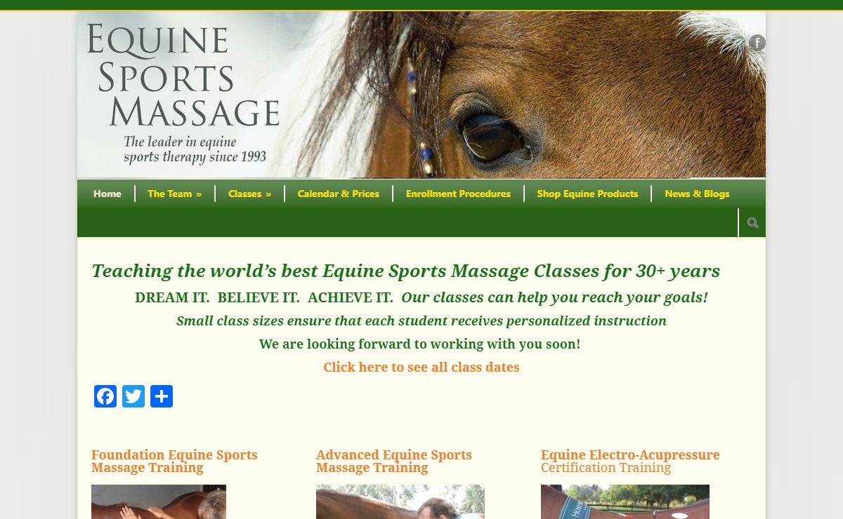 Equine Sports Massage