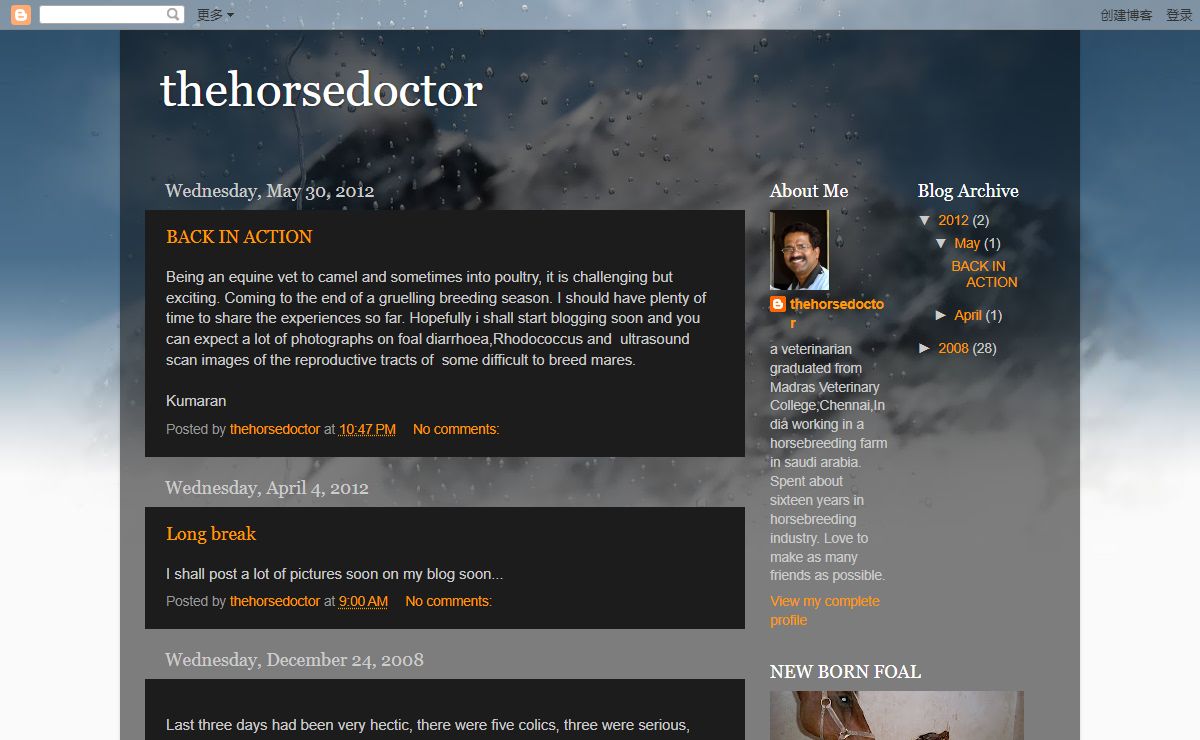 thehorsedoctor