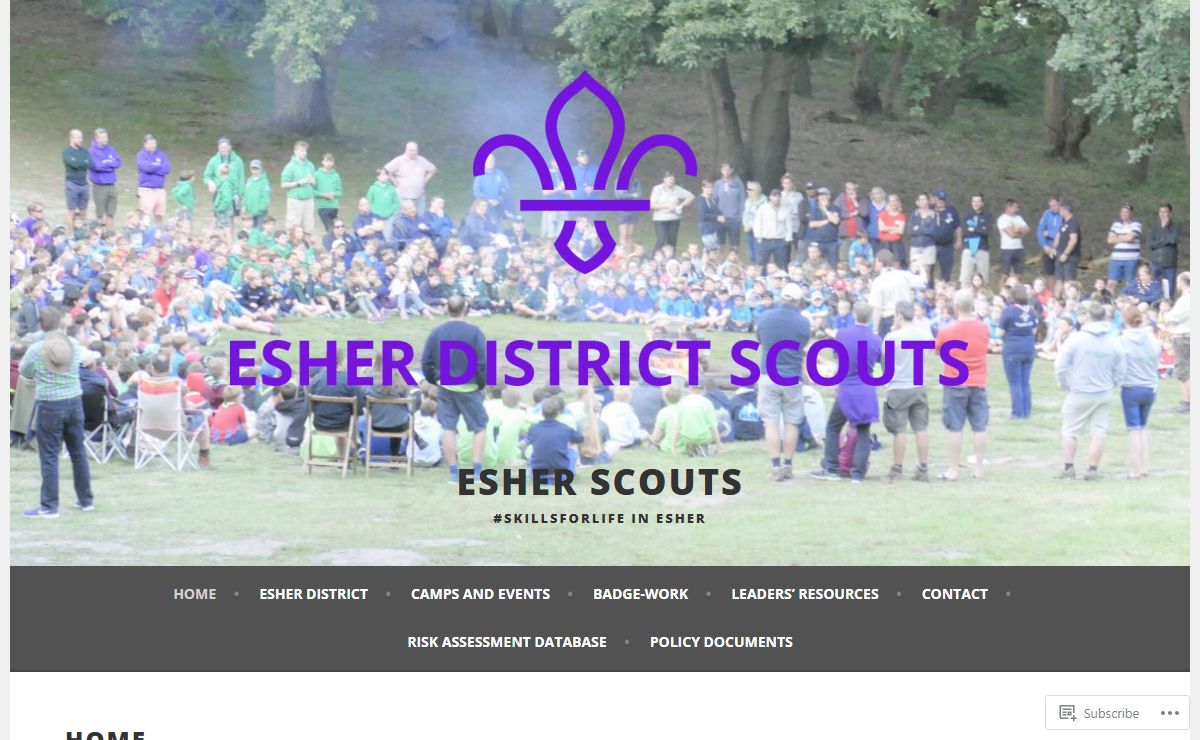 Esher Scouts – #SkillsForLife in Esher