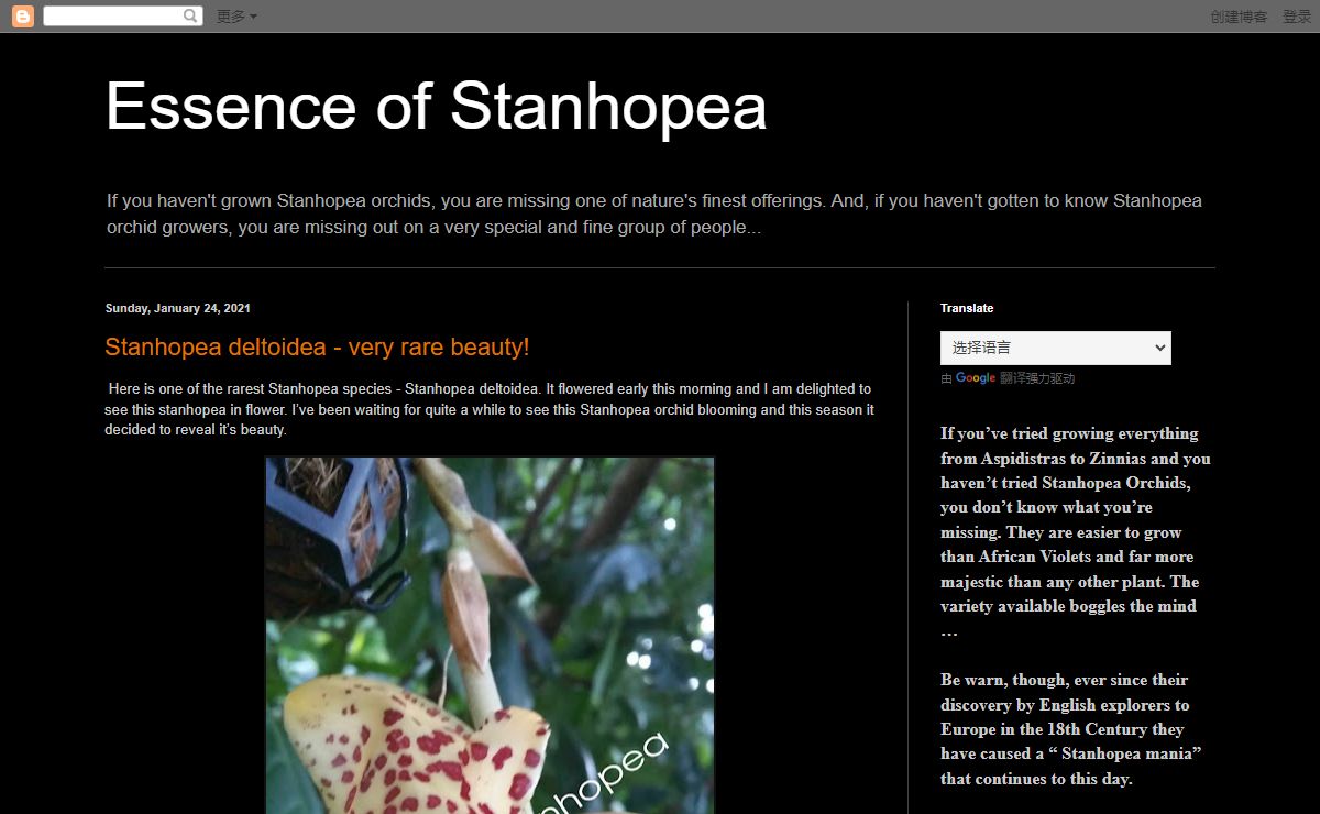Essence of Stanhopea
