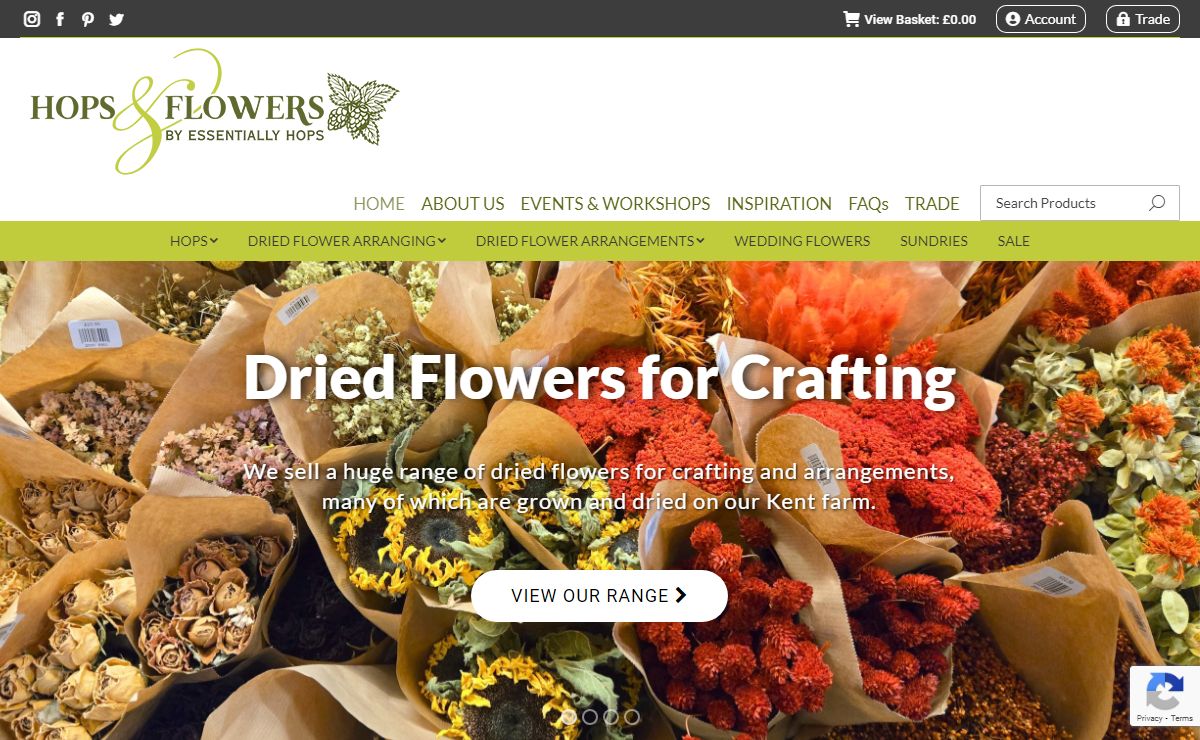 Essentially Hops | Dried Flowers, Kentish Hops & Florists