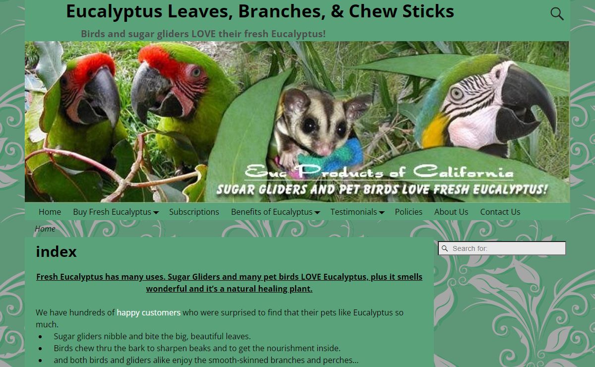 Eucalyptus Leaves, Branches and Perches buy fresh cut for Sugar Gliders and Birds