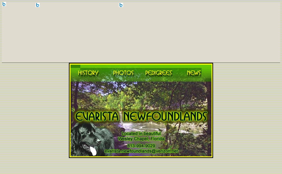 Evarista Newfoundlands - Welcome to our site.