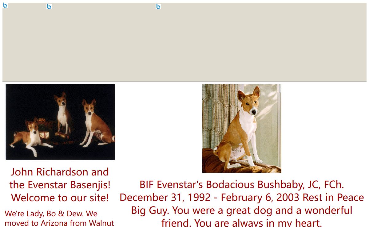 John, Lady & The Evenstar Basenji Hooligans