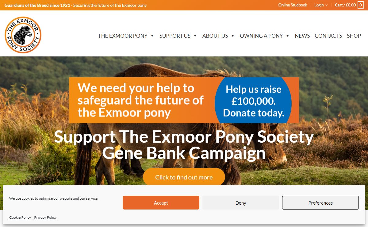 Home | The Exmoor Pony Society