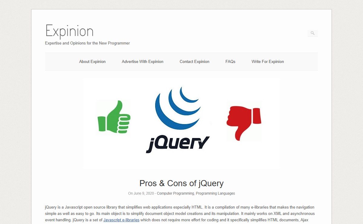 Expinion – Expertise and Opinions for the New Programmer