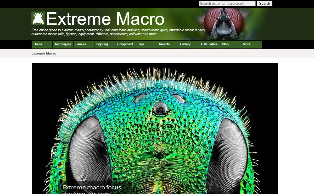 Extreme Macro Photography