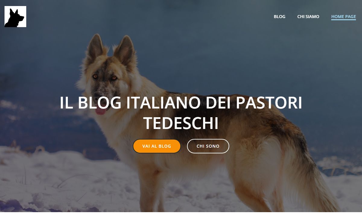 Il Blog Italiano dei Pastori Tedeschi - Massimo e Black