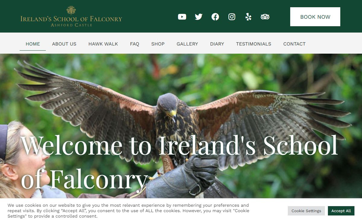 Ireland's School of Falconry