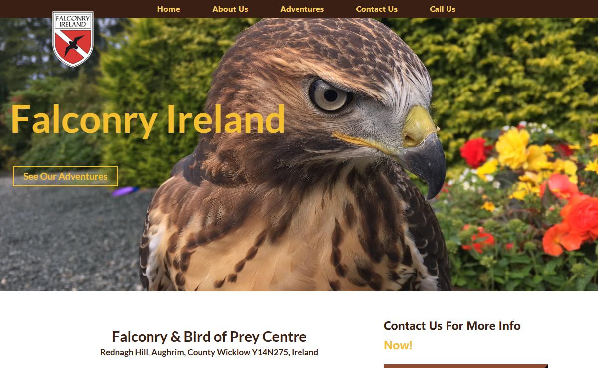 Falconry Ireland