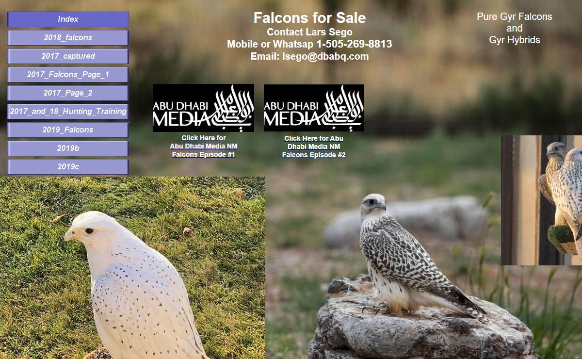 Falcons For Sale