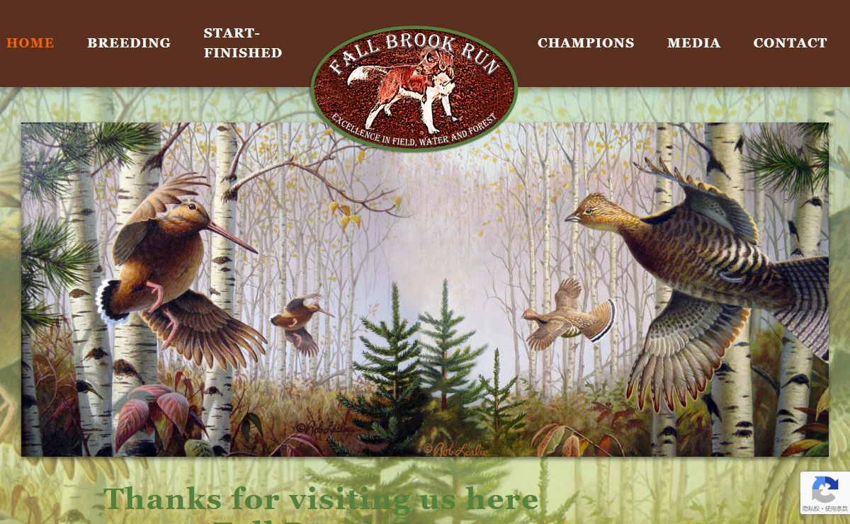 Home - Fall Brook Run