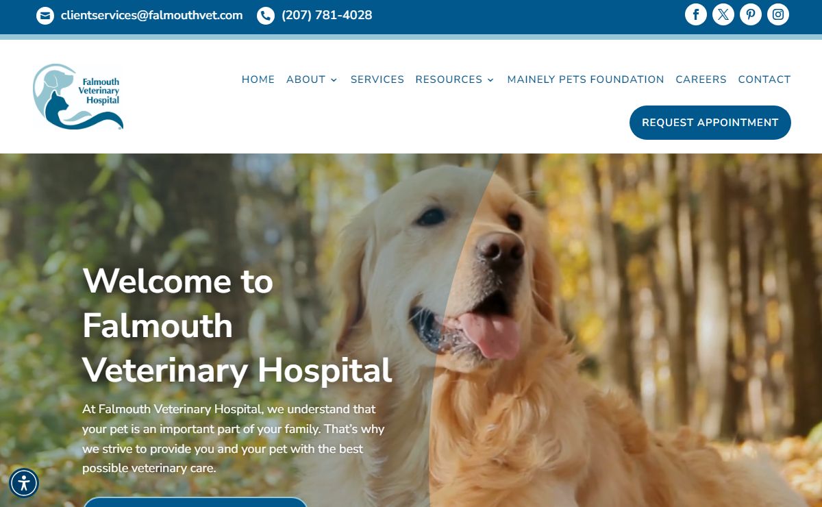 Best Vet Hospital In Falmouth, ME | Falmouth Veterinary