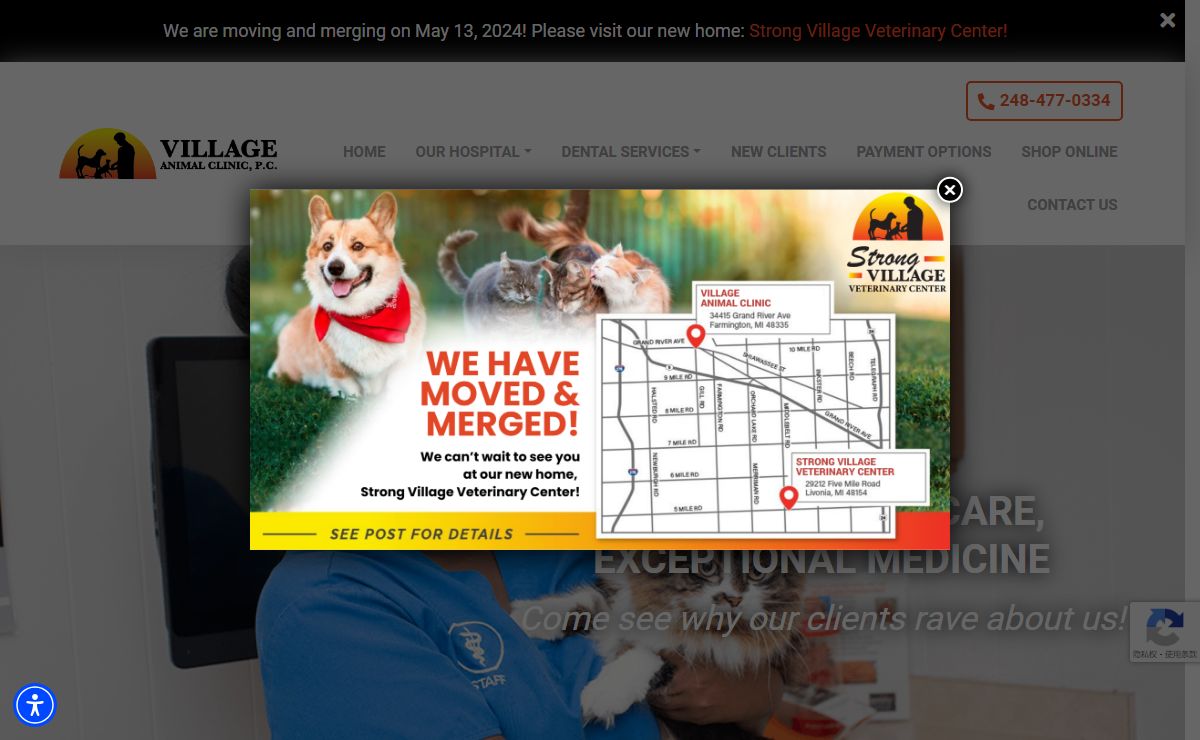 Village Animal Clinic | Veterinary Dental Care In Farmington