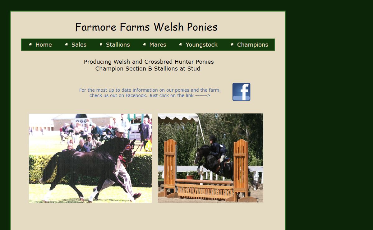 Farmore Farms Welsh Ponies - Tammy Burgin, Galt, CA