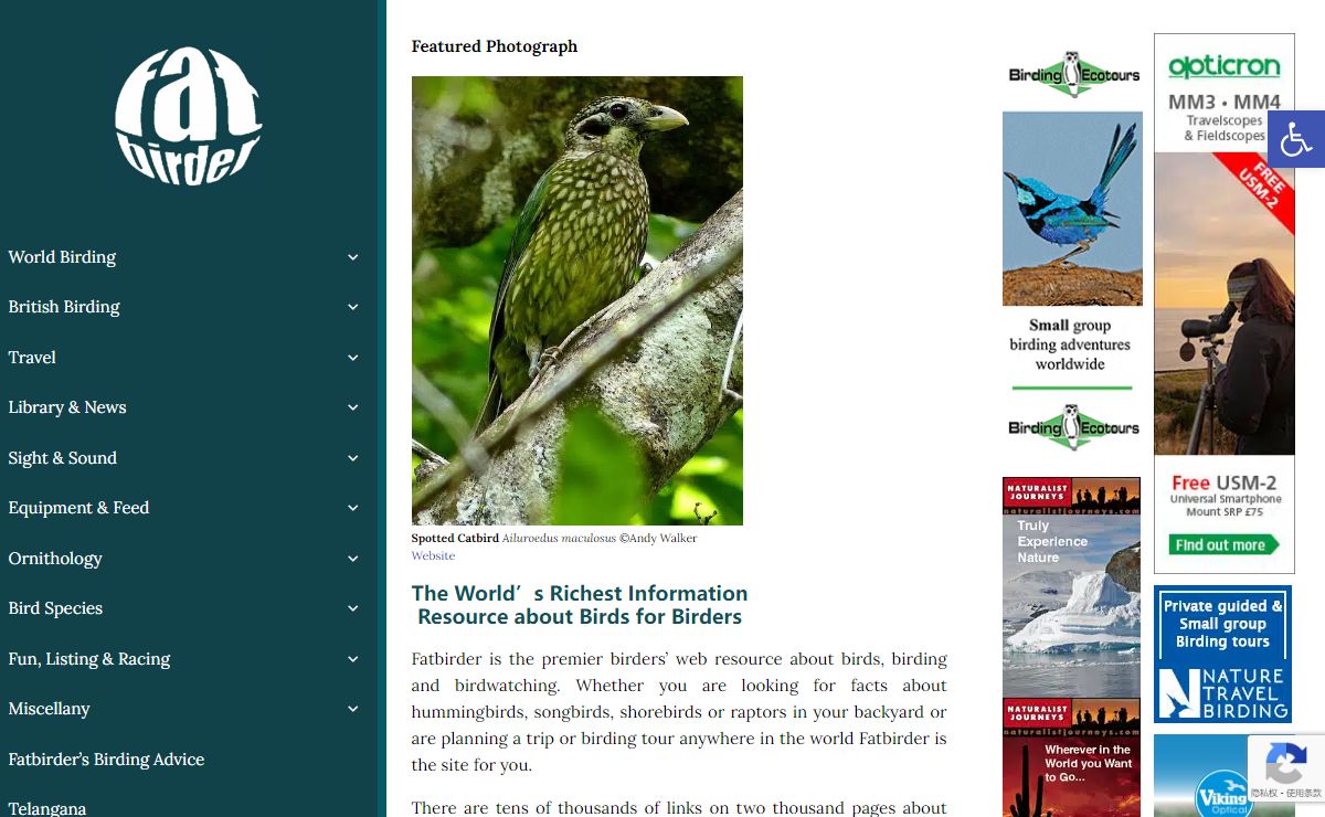 Birdwatching, Birding & Bird Travel, Birdfood & Binoculars Homepage - Fat Birder