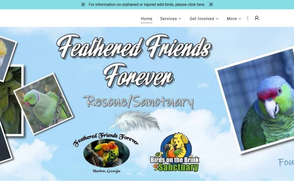 Feathered Friends Forever Rescue and Refuge - Home