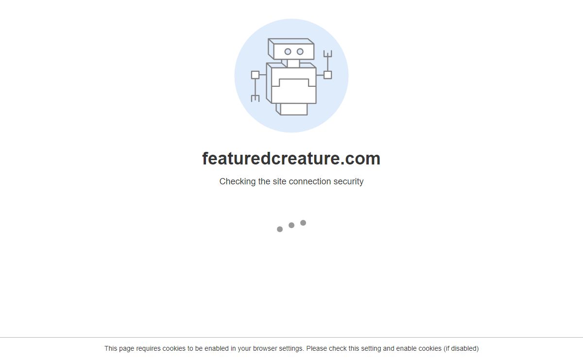 Robot Challenge Screen