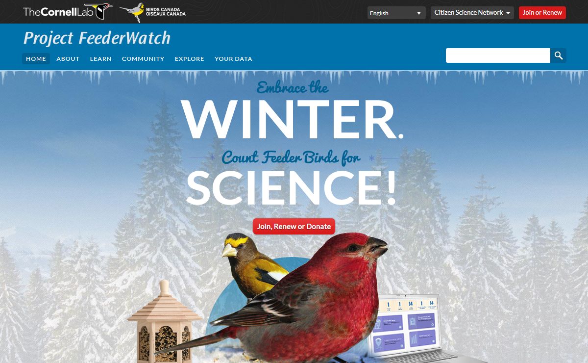 FeederWatch - Count Feeder Birds for Science