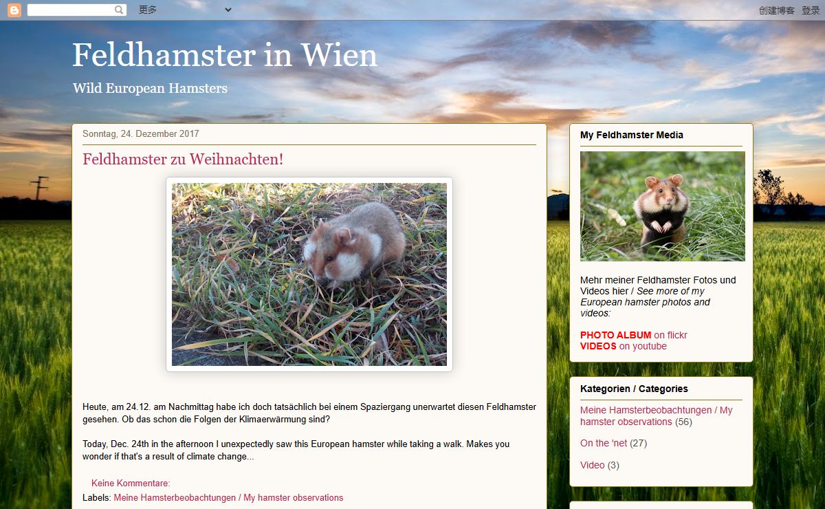Feldhamster in Wien