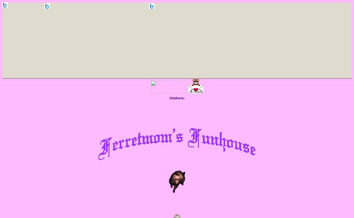 Ferretmom's Funhouse