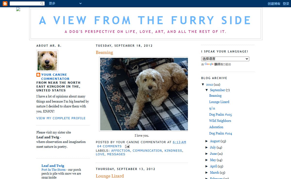 A view from the furry side